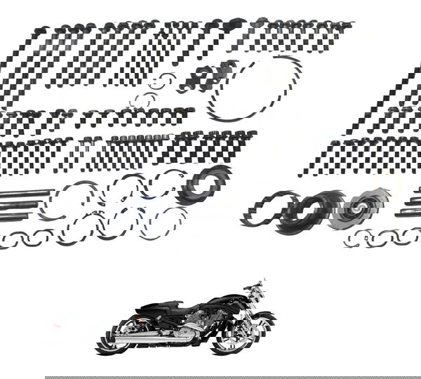 Kit Parafuso Motor Harley V-rod 1250 06-16 Original