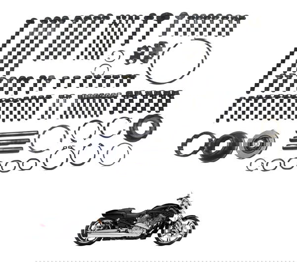 Kit Parafuso Motor Harley V-rod 1250 06-16 Original