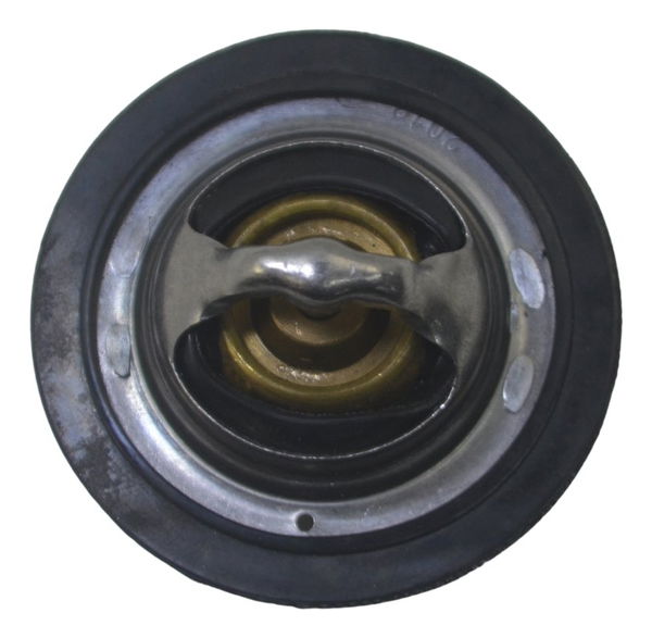 Válvula Termostática Bmw F 850 Gs Adv 19-24 Original