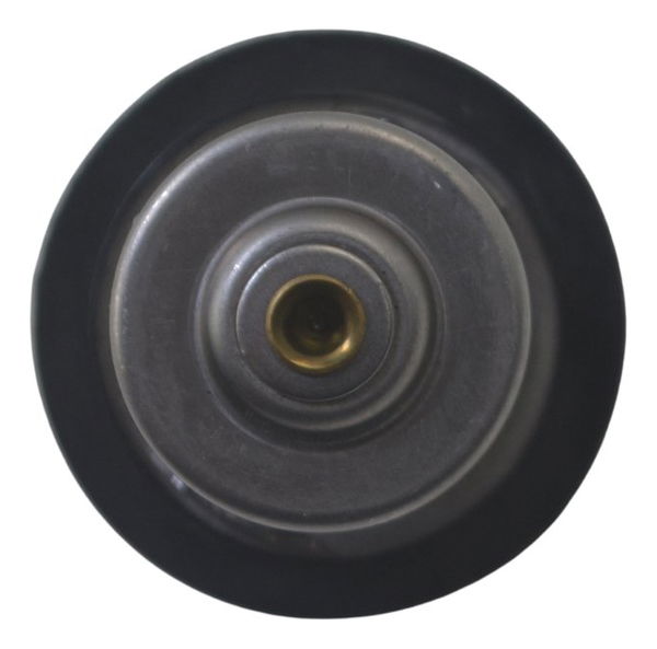 Válvula Termostática Bmw F 850 Gs Adv 19-24 Original