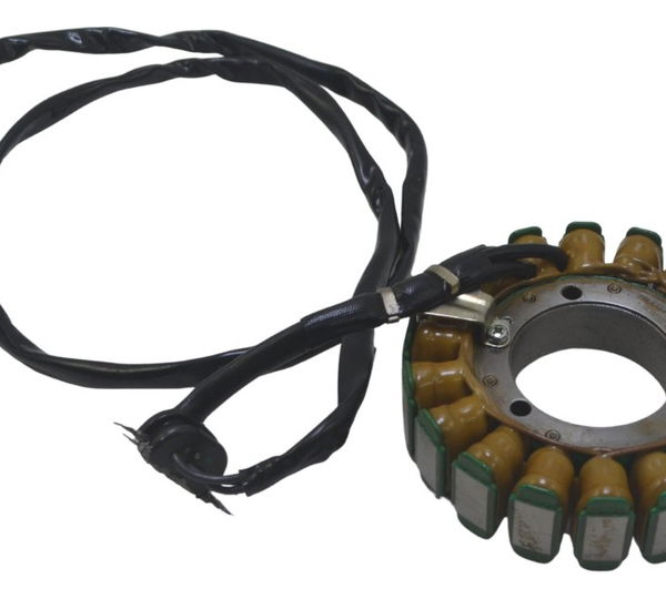 Estator Bmw F 850 Gs Adv 19-24 Original