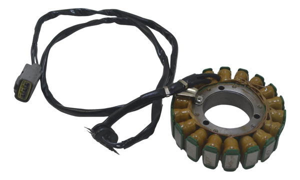 Estator Bmw F 850 Gs Adv 19-24 Original