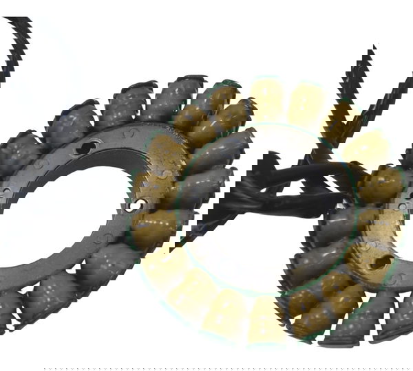 Estator Bmw F 850 Gs Adv 19-24 Original