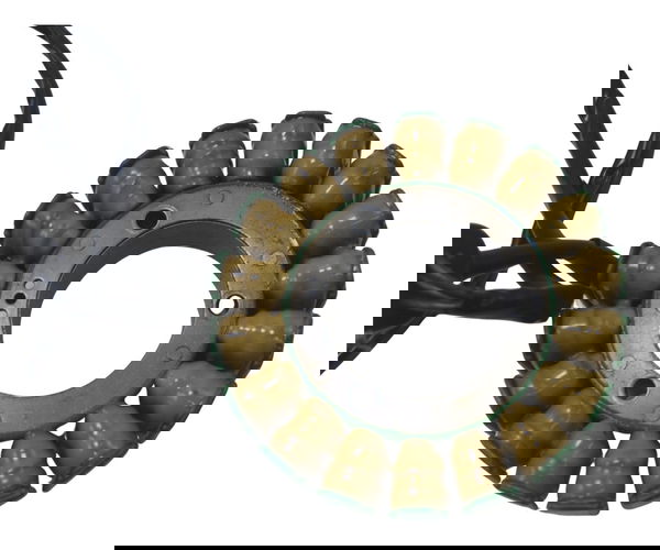 Estator Bmw F 850 Gs Adv 19-24 Original