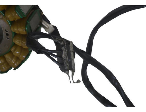 Estator Bmw F 850 Gs Adv 19-24 Original