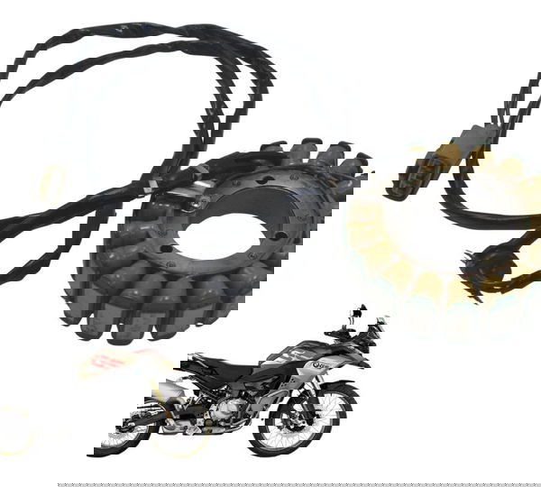 Estator Bmw F 850 Gs Adv 19-24 Original