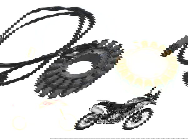 Estator Bmw F 850 Gs Adv 19-24 Original