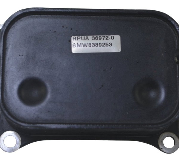 Resfriador Óleo Bmw F 850 Gs Adv 19-24 Original