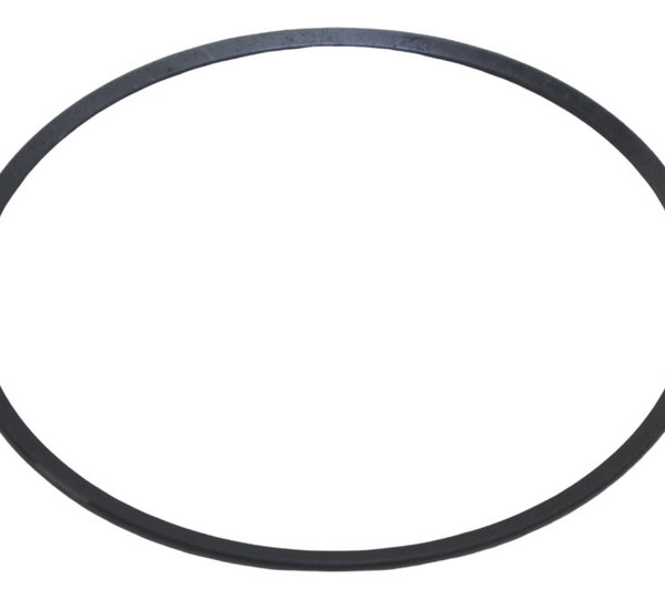 Mola Prato Embreagem Bmw F 850 Gs Adv 19-24 Original