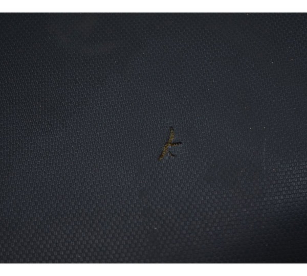 Banco C/ Avaria Suzuki Bandit 1250 09-11 Original Preto