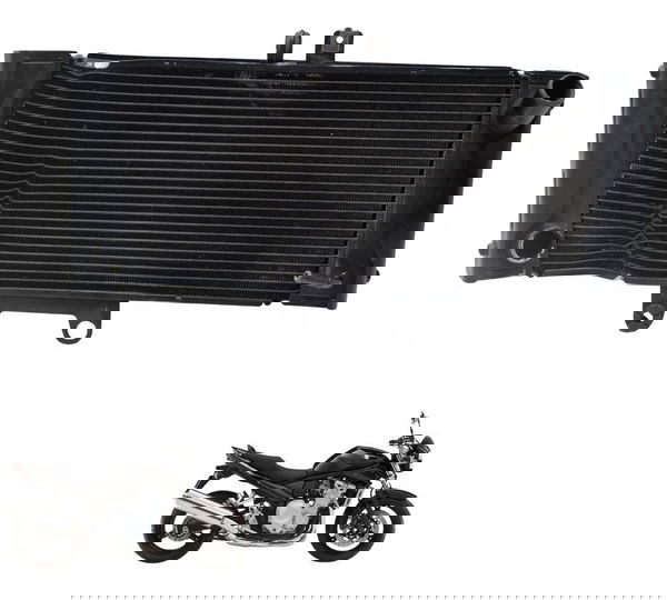 Radiador C/ Avaria Suzuki Bandit 1250 09-11 Original