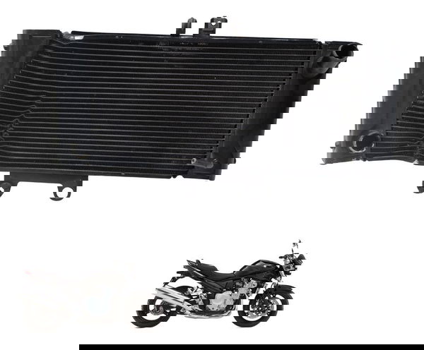 Radiador C/ Avaria Suzuki Bandit 1250 09-11 Original