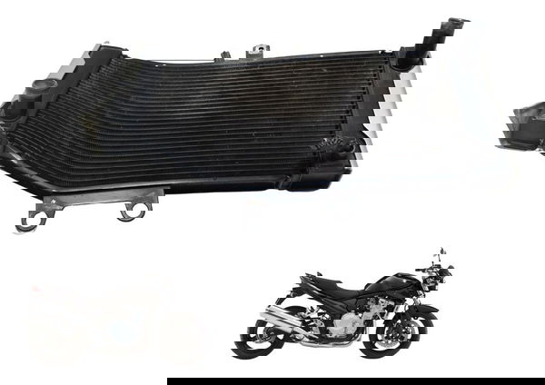 Radiador C/ Avaria Suzuki Bandit 1250 09-11 Original