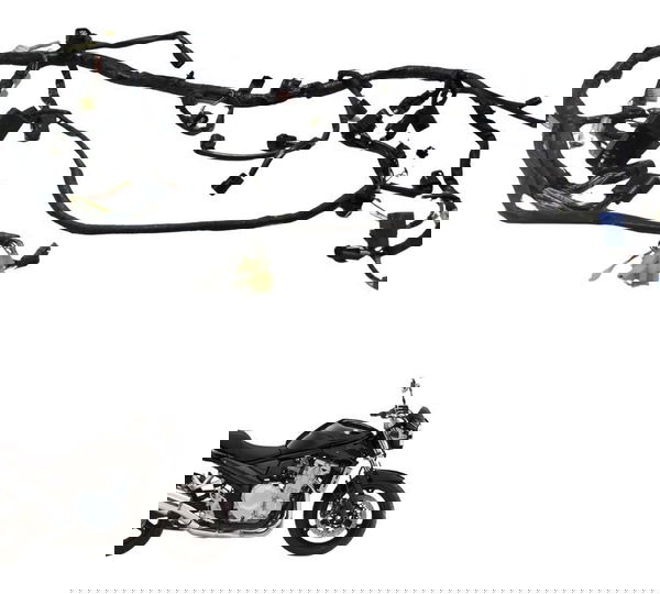 Chicote Principal Suzuki Bandit 1250 09-11 Original