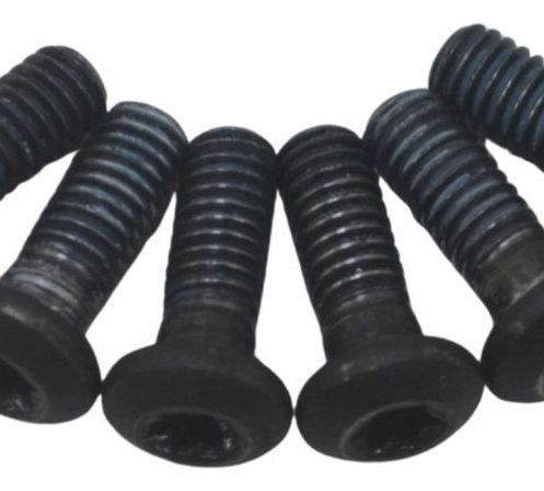 Jogo Parafuso Disco Freio Traseiro Buell Ulysses Xb12 05-07