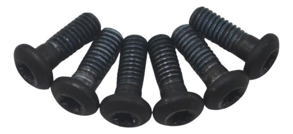 Jogo Parafuso Disco Freio Traseiro Buell Ulysses Xb12 05-07