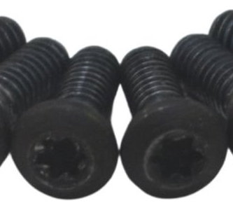 Jogo Parafuso Disco Freio Traseiro Buell Ulysses Xb12 05-07