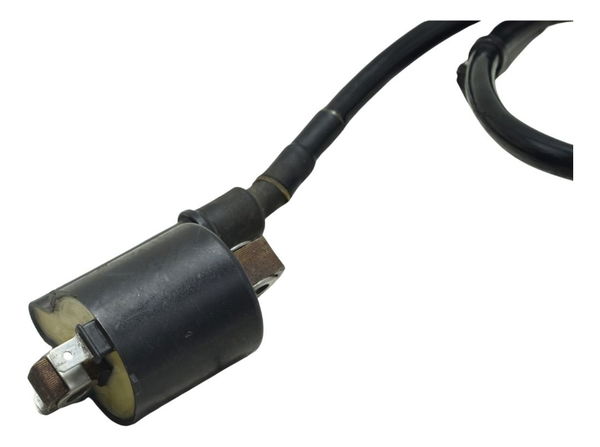 Bobina Ignição Honda Nc 700 12-15 Original