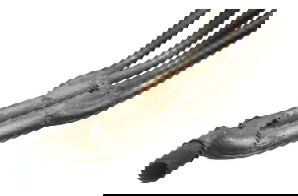 Curva Escape C/ Detalhes Honda Cb 600f Hornet 04-07 Original