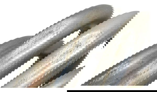 Curva Escape C/ Detalhes Honda Cb 600f Hornet 04-07 Original