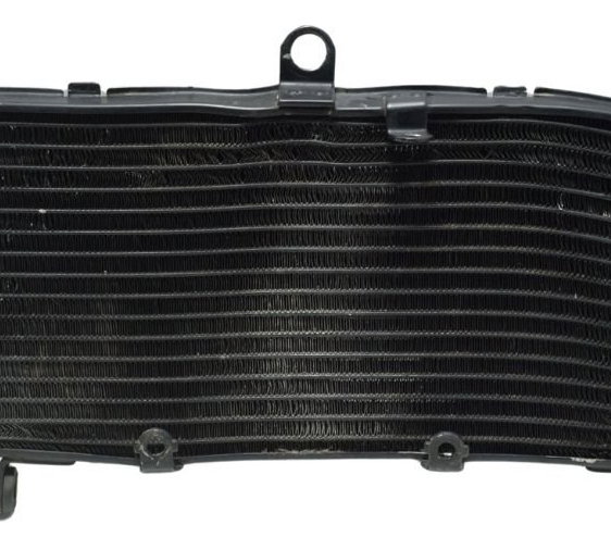 Radiador C/ Avaria Honda Cb 600f Hornet 04-07 Original