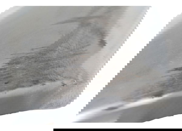 Capa Ponteira Escape C/detal Honda Cb 600f Hornet 04-07 Orig