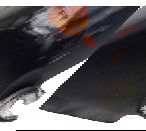 Acabamento Later Motor Dir C/avari Honda Cb600f Hornet 04-07