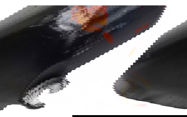 Acabamento Later Motor Dir C/avari Honda Cb600f Hornet 04-07