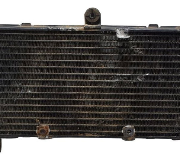 Radiador C/ Avaria Honda Cb 600f Hornet 04-07 Original