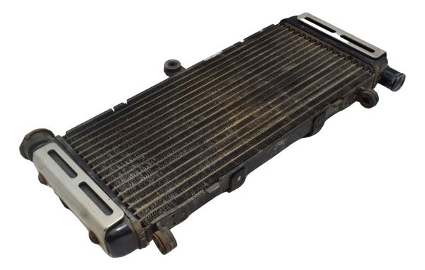 Radiador C/ Avaria Honda Cb 600f Hornet 04-07 Original
