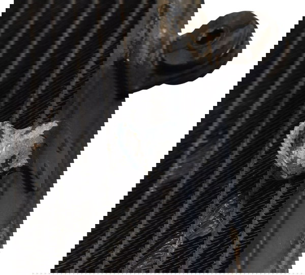 Radiador C/ Avaria Honda Cb 600f Hornet 04-07 Original