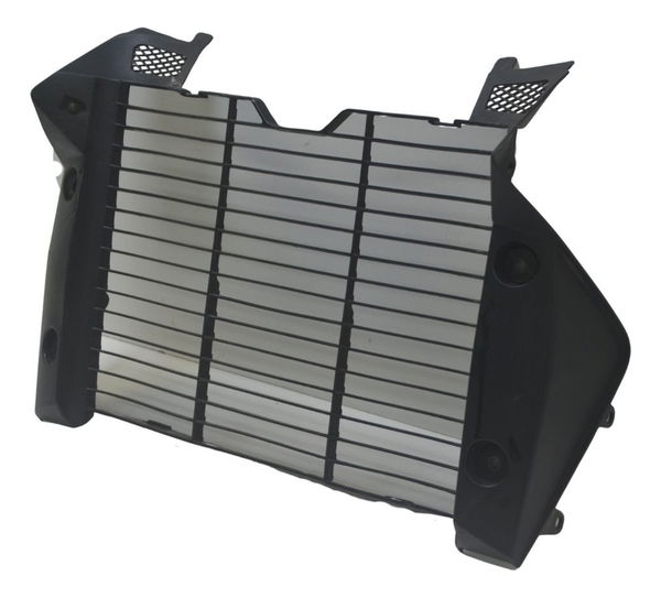 Grade Proteção Radiador Reparado Honda Cb 1000 R 11-16 Origi Preto