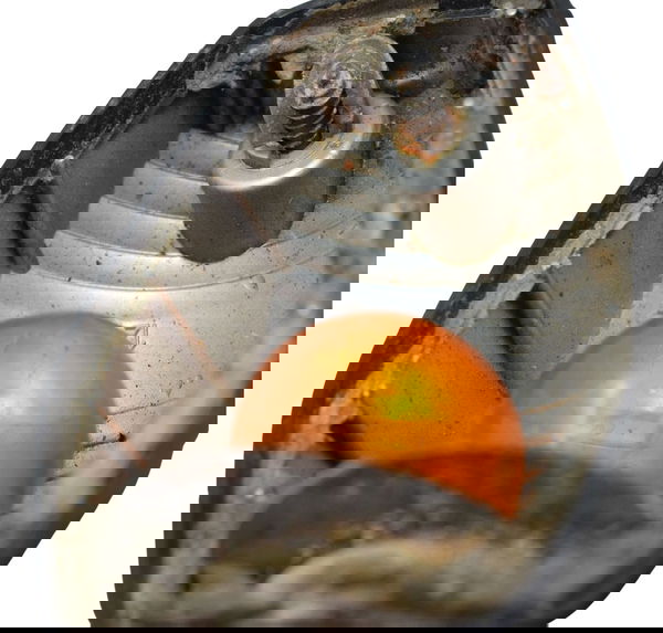 Pisca Traseiro Dir C/ Avaria Honda Cb 600f Hornet 04-07 Orig Direito