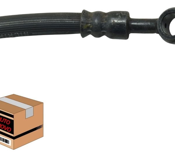 Flexível Freio Dianteiro Honda Cb 600f Hornet 04-07 Original