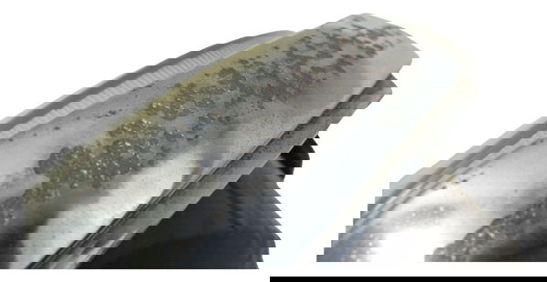 Farol C/detalhes Honda Cb 600f Hornet 04-07 Original