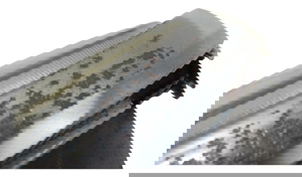 Farol C/detalhes Honda Cb 600f Hornet 04-07 Original