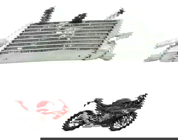 Radiador Óleo C/avaria Bmw S 1000 Rr 20-24 Original