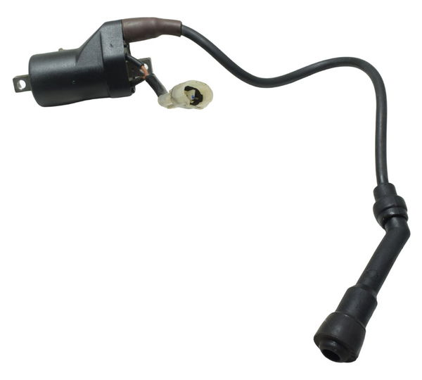 Bobina Ignição Royal Enfield Himalayan 411 19-25 Original