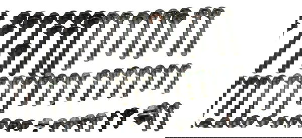 Kit Parafuso Motor Honda Cb 600f Hornet 04-07 Original