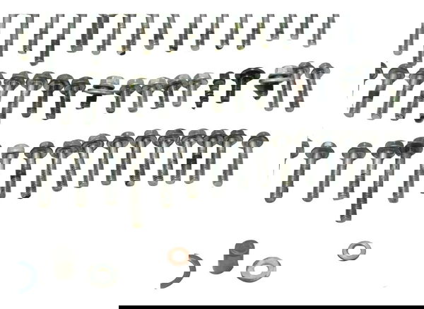 Kit Parafuso Motor Honda Cb 600f Hornet 04-07 Original