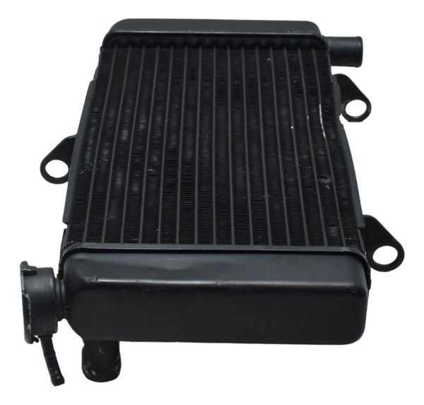 Radiador Honda Cb 500f 14-16 Original