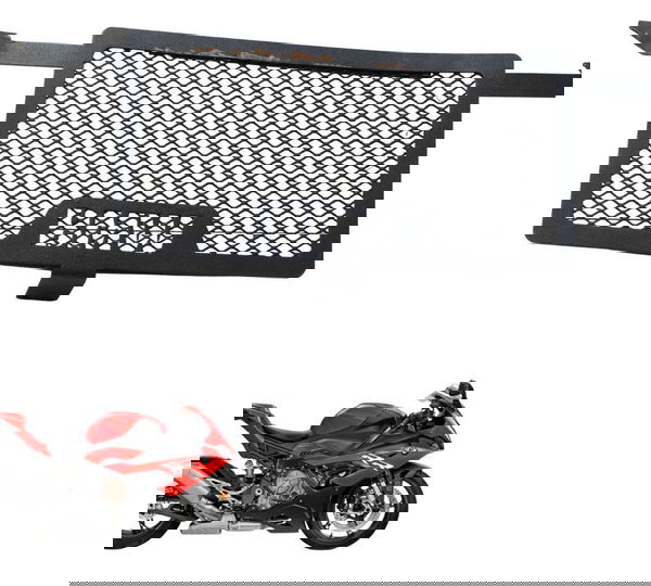 Grade Proteção Radiador Paralelo C/det Bmw S 1000 Rr 20-24