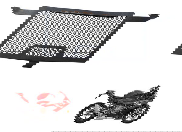 Grade Proteção Radiador Paralelo C/det Bmw S 1000 Rr 20-24