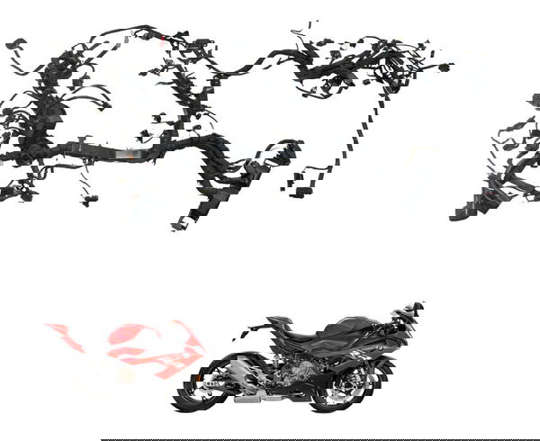 Chicote Principal Bmw S 1000 Rr 20-22 Original