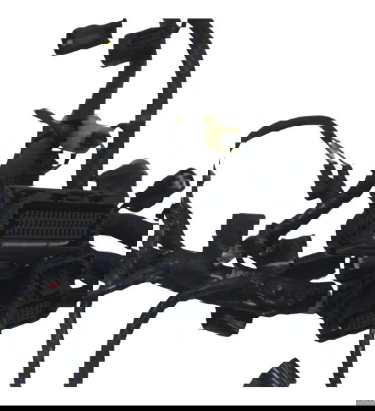 Chicote Principal C/detal Triumph Street Triple 765 Rs 18-23