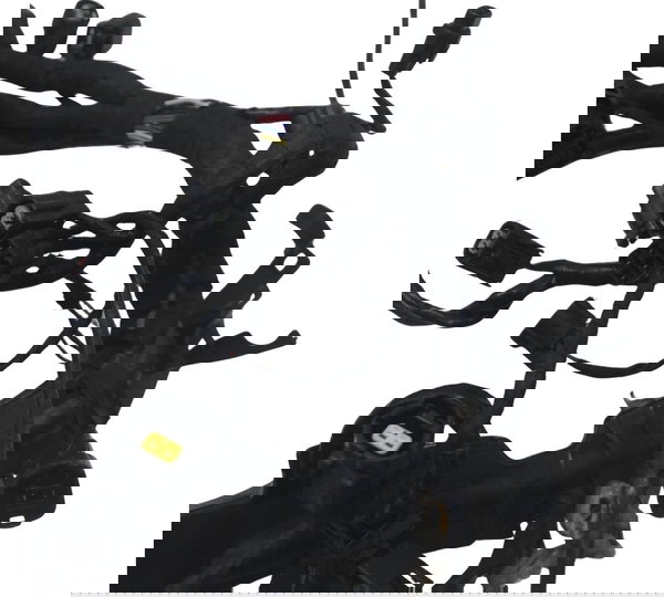 Chicote Principal C/detal Triumph Street Triple 765 Rs 18-23