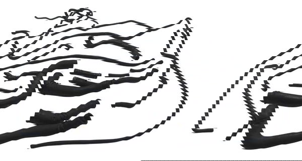 Kit Mangueira Triumph Street Triple 765 Rs 18-23 Original