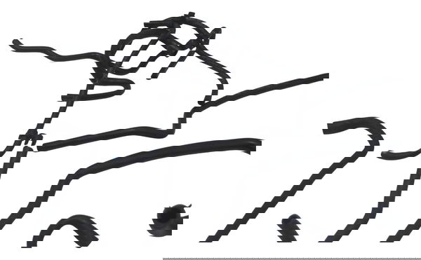 Kit Mangueira Triumph Street Triple 765 Rs 18-23 Original