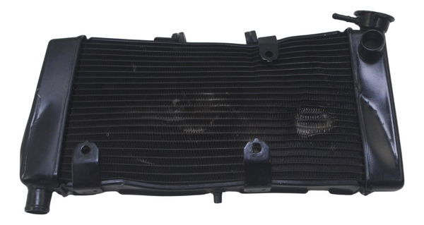 Radiador C/avaria Honda Nc 750x 16-21 Original