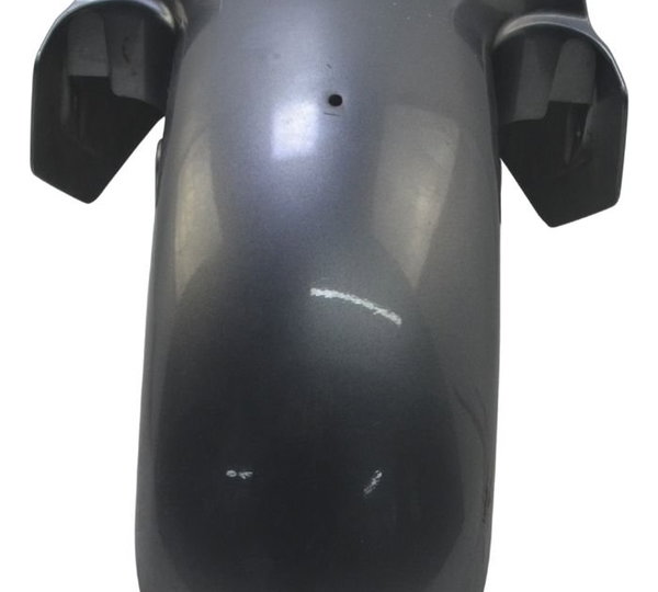 Paralama Dianteiro Suzuki Burgman 400 09-12 Original Dianteiro